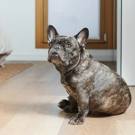 Dimore Getaway アパート