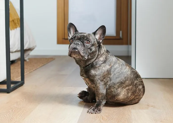 Dimore Getaway Daire